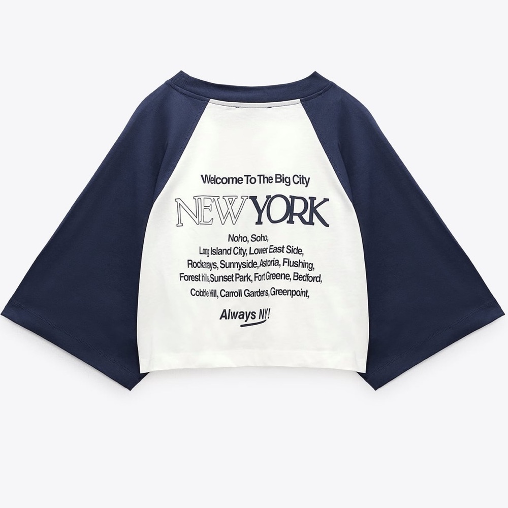 Zara Navy and White Crop Top